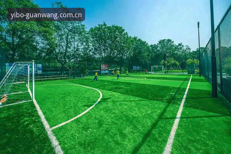 资深技术评测员详解：亿博体育专业空间对比的实战体验与选择建议